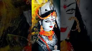 Maa bhakti div Vaishno devi temple viralvideo love maavaishnodevibhawan [upl. by Nnylhtak749]