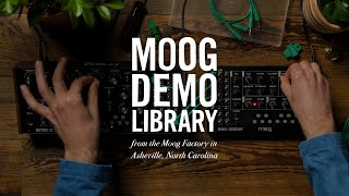 Moog Mavis  How to Integrate with Mother32 DFAM amp Subharmonicon [upl. by Mur323]