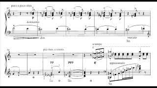 Franz Liszt Schlummerlied Im Grabe S195a [upl. by Stanhope]