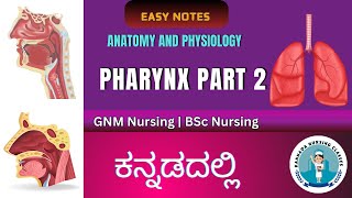 Anatomy And Physiology Of Pharynx Part 2  Respiratory System  Kannada Nursing Classes [upl. by Smitty]