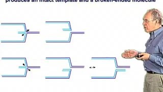 BreakInduced Replication  Jim Haber Brandeis [upl. by Ardnuahs326]