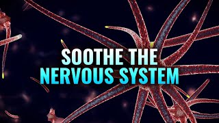 Soothe the Nervous System  Heal Your Vagus Nerve Nerve Healing Binaural Beats  Nerve Regeneration [upl. by Elegna]