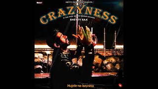 SHETTY SAA  CRAZYNESS Official Audio [upl. by Lose]