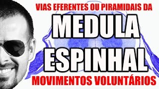 Medula Espinal Vias Eferentes Descendentes ou Piramidais  Sistema Nervoso  VideoAula 093 [upl. by Aninep]