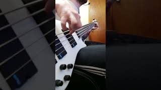 Sure shot  intervals bass cover [upl. by Gniy]