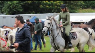 Horse Rider Galloping at Ballinasloe Horse Fair [upl. by Yhtomiht921]