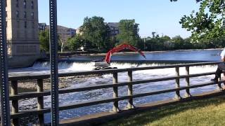 Des Plaines River Dam Removal  part 2 [upl. by Kcirde]