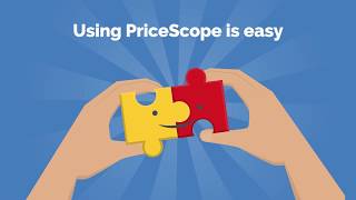 How to Use PriceScope [upl. by Ntisuj328]