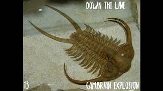 Episode 13  Paleozoic Era Part 1  The Cambrian Explosion [upl. by Trumann]