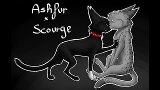 Scourge x Ashfur  Criminal [upl. by Conal]