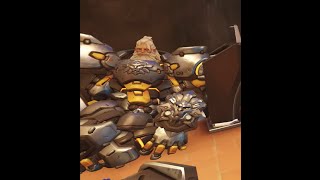 average bronze rein experience [upl. by Aggri]