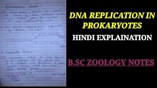 DNA REPLICATION IN PROKARYOTES IN HINDI ZOOLOGY NOTES [upl. by Meyers]