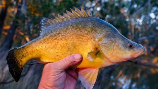 Yellowbelly Fishing In Winter Wearing Hollys Jumper [upl. by Drain]