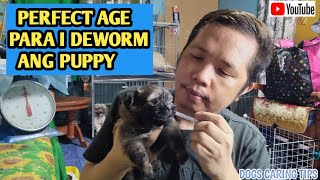 HOW TO DEWORM YOUR PUPPIES AT HOME1ST DEWORMING NILA [upl. by Herbie]