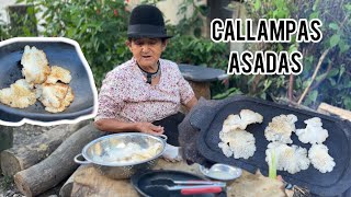 Callampas asadas en Piedra Volcánica [upl. by Ralip667]