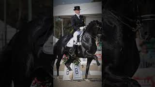 time flies by rip horse hickstead totilias snowman secretariat equestrian death sad [upl. by Aseuqram]