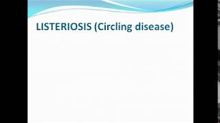 ListeriosisCircling disease ppt [upl. by Sena]