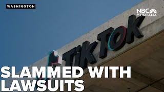 States slam TikTok with lawsuits claim app hooks kids like slot machines [upl. by Assereht175]