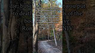 Romans 81213 Verse of the Day [upl. by Anali137]