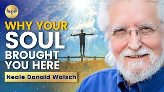 Why YOUR SOUL Brought You HERE  Your PURPOSE Is More OBVIOUS Than You Think  Neale Donald Walsch [upl. by Rosenbaum]