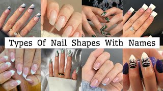 Different Types Of Nail Shapes And NamesAll Types Of Nail ShapesNail Shapes NamesTo Fashion [upl. by Curson604]