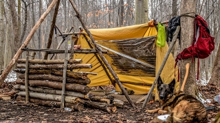 Overnight Bushcraft Camp with my Dog  Long Fire Wool Blanket Fire Reflector [upl. by Larrad791]