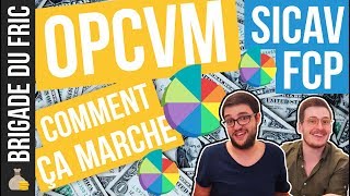 OPCVM Comment ça marche  SICAV amp FCP [upl. by Yeldoow]