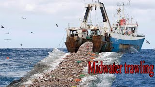 Life On Worlds Most Advance Fish Trawler  Unbelievable Hundred Tons Fish caught On The Boat [upl. by Alleinad]