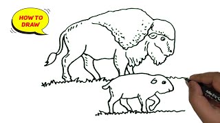 How to draw a Bison and a baby bison easy and step by step [upl. by Heisel]