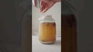 How to make kvass with a sourdough starter [upl. by Kerby417]