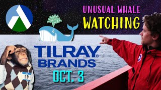 Tilray Brands Unusual Activity for October 3 [upl. by Smail454]