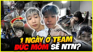 VLOG  1 Ngày Làm Việc Của Tôi Tại Team Đức Mõm Sẽ NTN [upl. by Aikal]