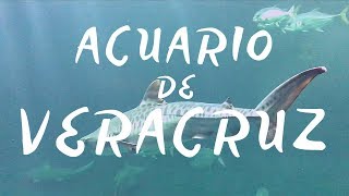 Acuario de VERACRUZ [upl. by Yffat483]