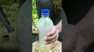 How to make bread dipping sauce survival hacks bushcraft wildlife [upl. by Airamat79]