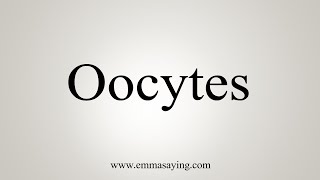 How To Say Oocytes [upl. by Chu378]