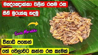 Seeni Murukku Sinhala Recipe  මංඤ්ඤෝක්කා වලින් රසම රස සීනි මුරුක්කු හදමු  Sinhala New Recipe Idea [upl. by Yelir]