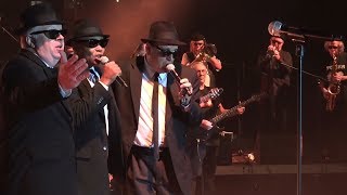 The Original Blues Brothers Band quotSweet home Chicagoquot  Wrocław 2014 [upl. by Adnwahsor]