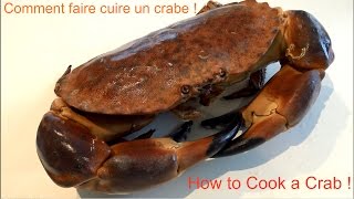 Comment Cuire un Crabe  Tourteau  Cancer Pagurus  How To Cook a Brown Crab  Bretagne  France [upl. by Horner]