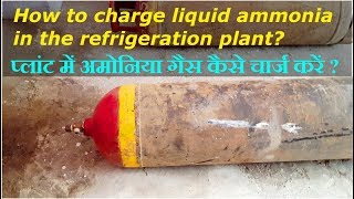 प्लांट में अमोनिया गैस कैसे चार्ज करें how to charge liquid ammonia in the refrigeration plant [upl. by Acinoj958]