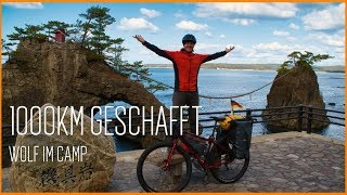 Ein WOLF vor unserem Zelt  1000km Bikepacking Japan Ep 13 [upl. by Darrick174]