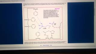 Biochemistry of OrganicPhosphorous Nerve Agents [upl. by Seni]