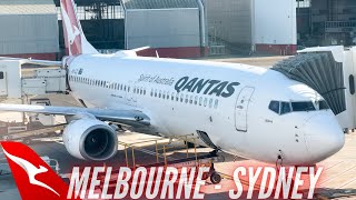 Qantas Domestic Experience  Melbourne  Sydney  Qantas Economy Class  Boeing 737800 Trip Report [upl. by Nos]