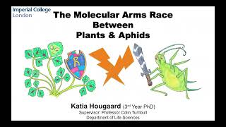 The Molecular Arms Race Between Plants and Aphids [upl. by Deacon]