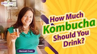 Kombucha Benefits Drinking Too Much Kombucha with Kombucha Kamp [upl. by Kcaj]