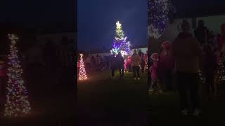 Christmas Tree Lighting in Harrow Ontario November 16th [upl. by Retsek825]