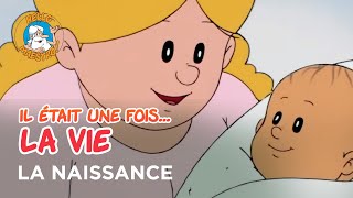 Il était une fois… la Vie 🌱 La naissance 👶 [upl. by Kylynn]