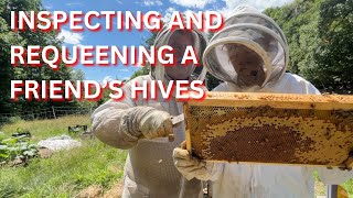 Inspecting and requeening a friends hives [upl. by Ihdin]