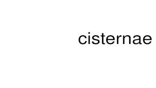 How to pronounce cisternae [upl. by Barnie]