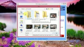 Tutorial YTD VIDEO DOWNLOADER [upl. by Niawtna]