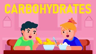 What are Carbohydrates What are its different Types [upl. by Annalee388]